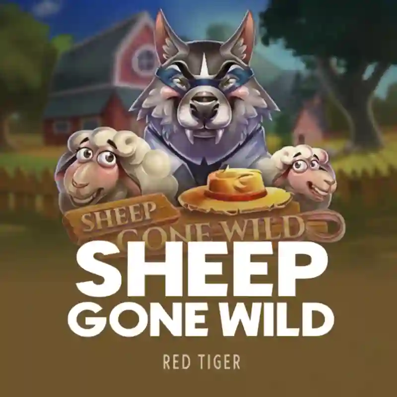 Sheep Gone Wild